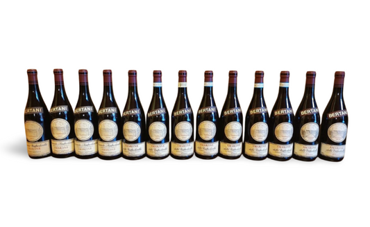 Bertani Valpolicella verticale 13 annate