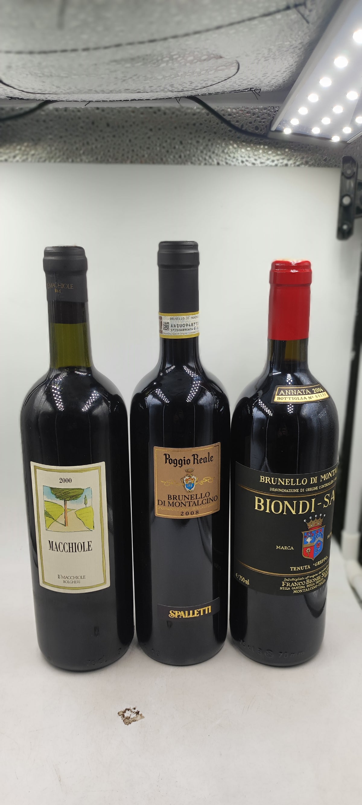 biondi santi poggio reale macchiole